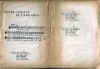 entre_le_boeuf_et_lane_gris.jpg (656024 octets)
